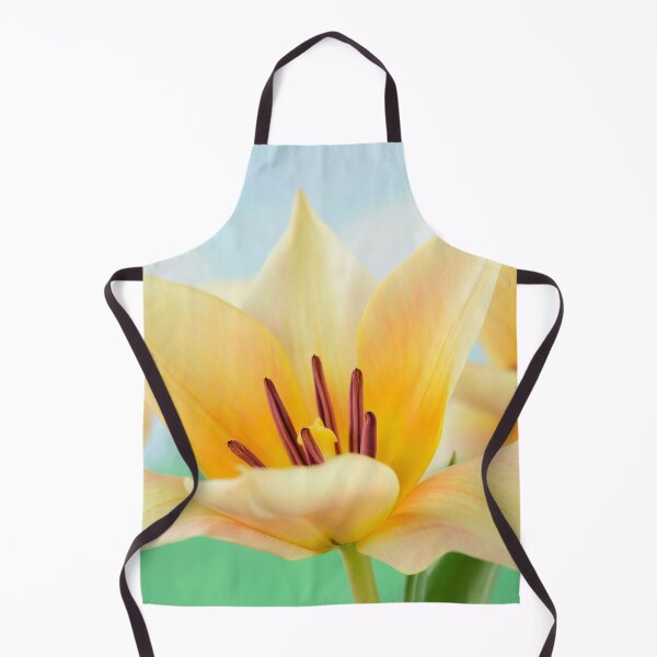 Item preview, Tulipa 'Fur Elise' Tulip Greigii Group designed and sold by Chris Burrows.