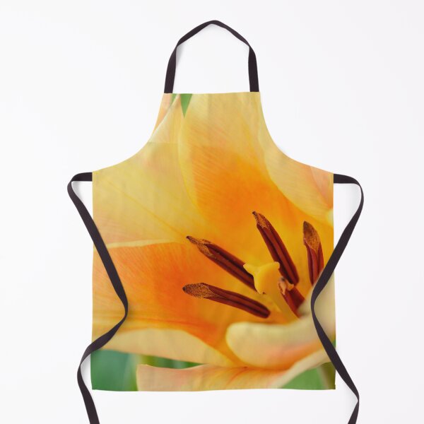 Item preview, Tulipa 'Fur Elise' Tulip Greigii Group designed and sold by Chris Burrows.