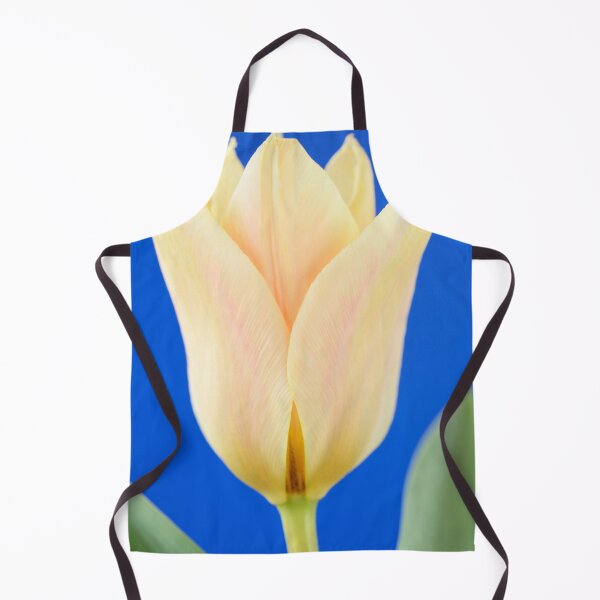 Item preview, Tulipa 'Fur Elise' Tulip Greigii Group designed and sold by Chris Burrows.
