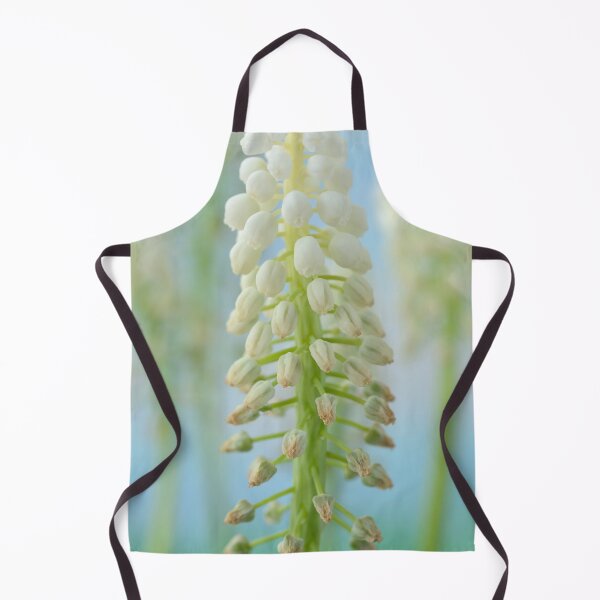 Item preview, Muscari armeniacum 'Argaei Album' Grape hyacinth designed and sold by Chris Burrows.