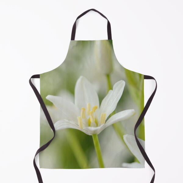 Item preview, Ornithogalum magnum Star of Bethlehem Giant Starflower designed and sold by Chris Burrows.