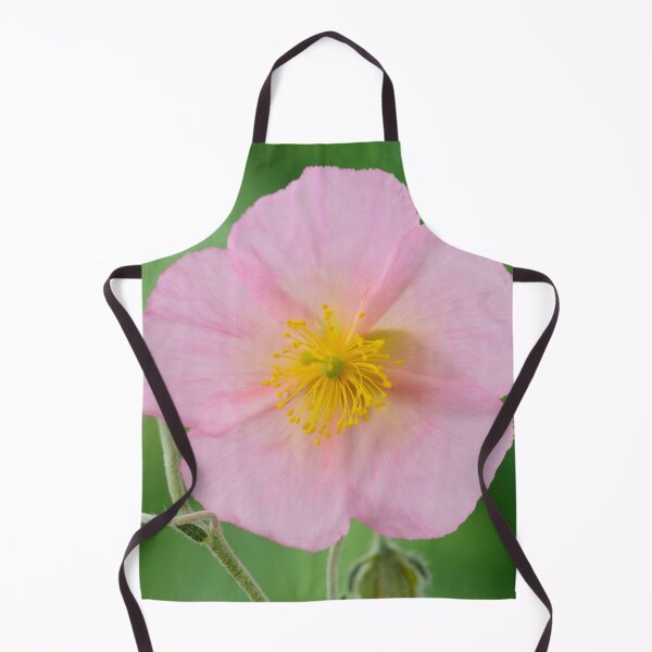 Item preview, Helianthemum 'Rhodanthe Carneum' AGM Rock rose 'Wisley Pink' designed and sold by Chris Burrows.