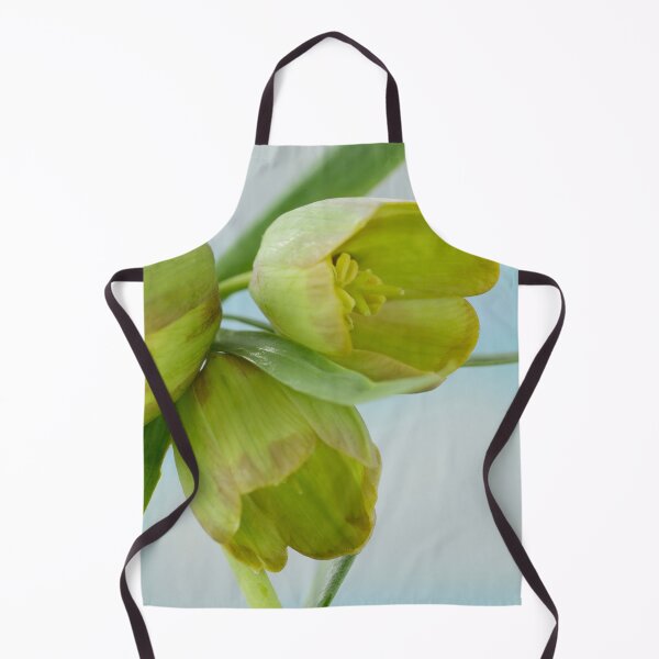Item preview, Fritillaria pontica AGM Fritillary designed and sold by Chris Burrows.