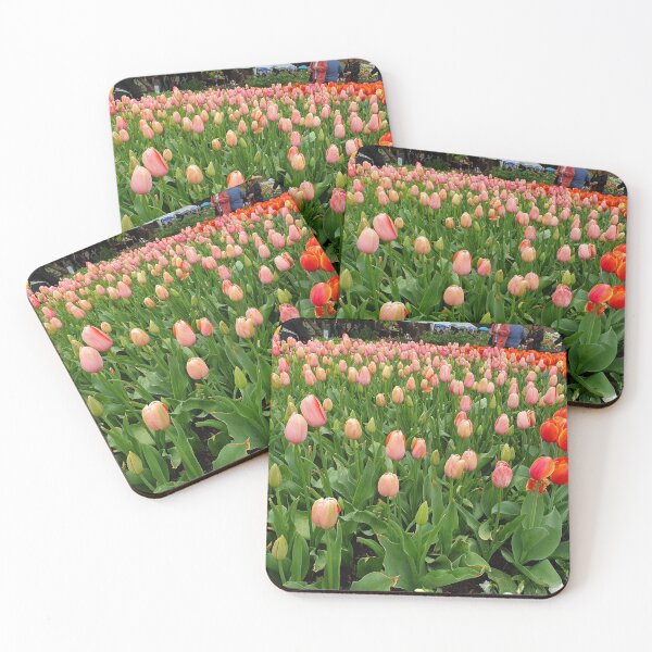 Item preview, Tulip field - beautiful flowers - red and pink designed and sold by MerchActually.