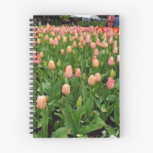 Item preview, Tulip field - beautiful flowers - red and pink designed and sold by MerchActually.