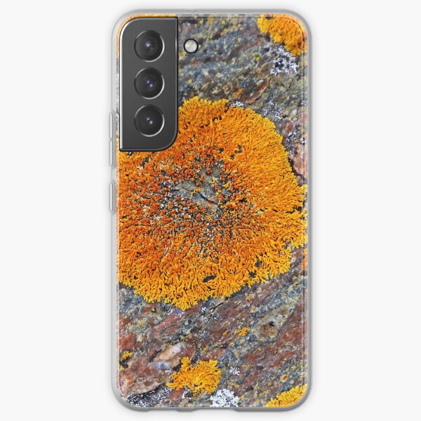 Wreck Island Lichen On Rock Samsung Galaxy Soft Case