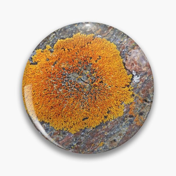 Item preview, Wreck Island Lichen On Rock designed and sold by Deb Oppermann.
