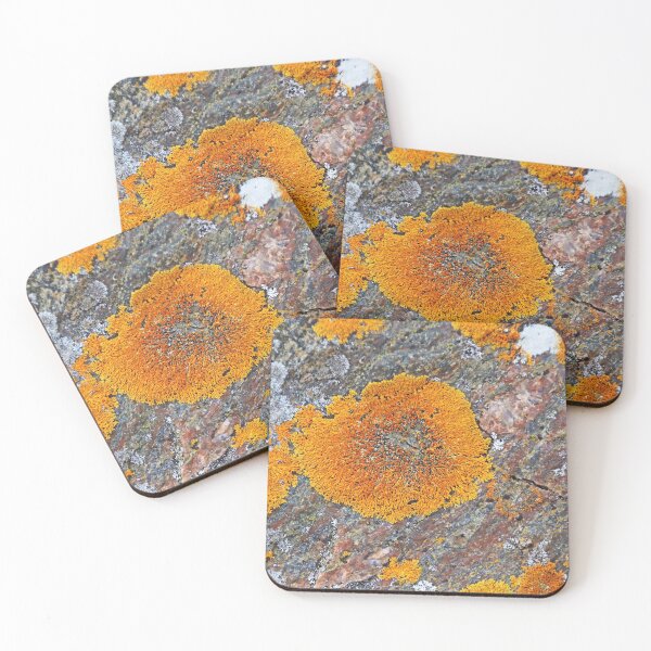 Item preview, Wreck Island Lichen On Rock designed and sold by Deb Oppermann.