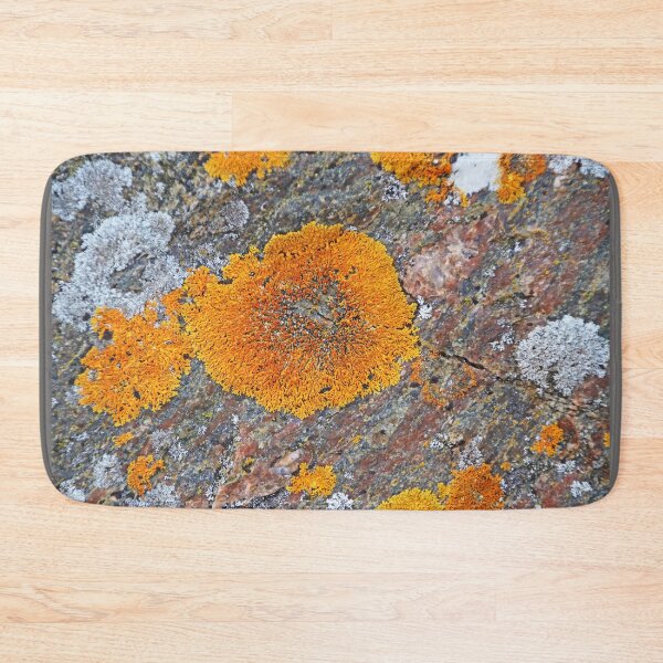 Item preview, Wreck Island Lichen On Rock designed and sold by Deb Oppermann.