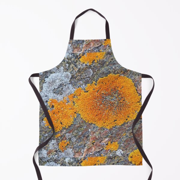 Item preview, Wreck Island Lichen On Rock designed and sold by Deb Oppermann.