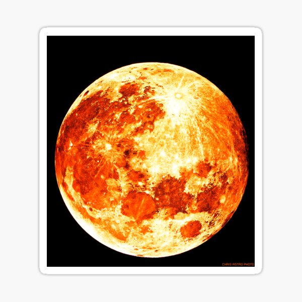 Halloween Moon  Sticker