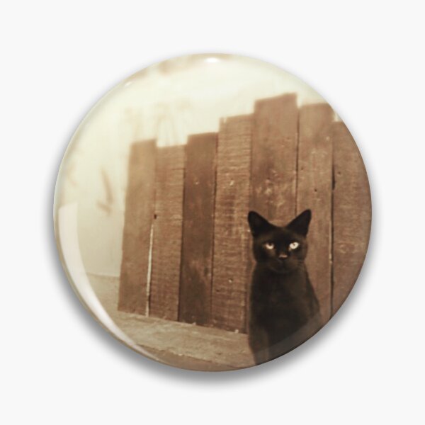 Artikelvorschau, Halloween Katze entworfen und verkauft von Carlos Taylor.