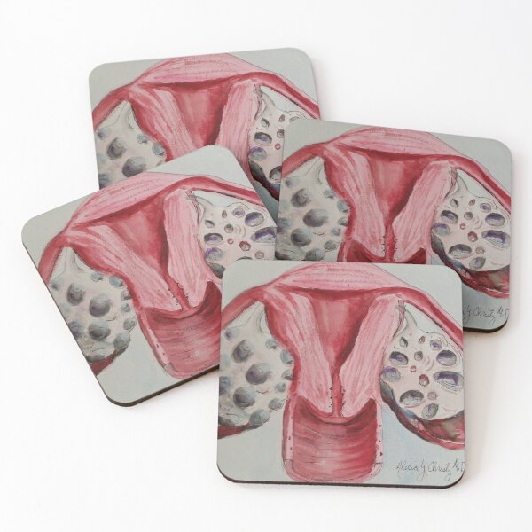 Item preview, Pelvic Anatomy designed and sold by BlackVet.