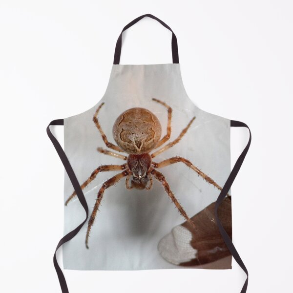 Item preview, Spider on my Garage designed and sold by Susie Kramer.