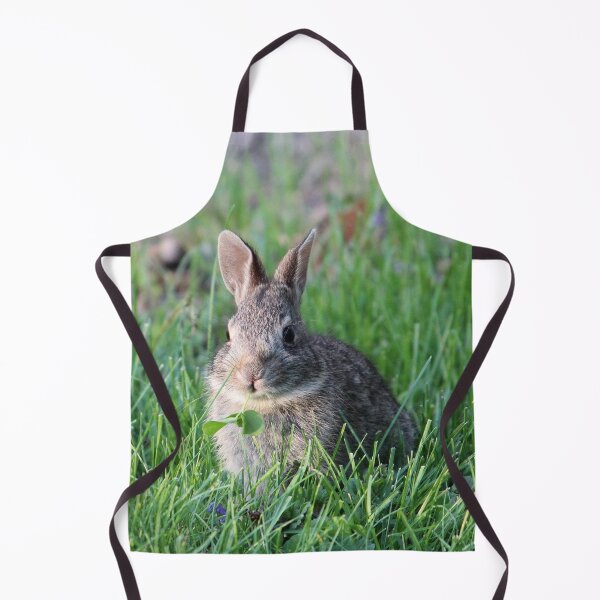 Item preview, Bunny 4 designed and sold by Susie Kramer.