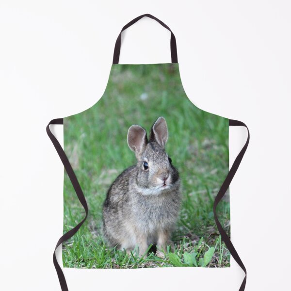 Item preview, Bunny 2 designed and sold by Susie Kramer.