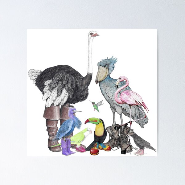Item preview, Birds in shoes designed and sold by JimsBirds.