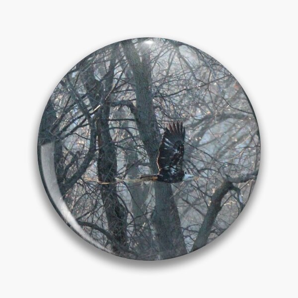 Item preview, Bald Eagle bring supplies to nest designed and sold by Susie Kramer.