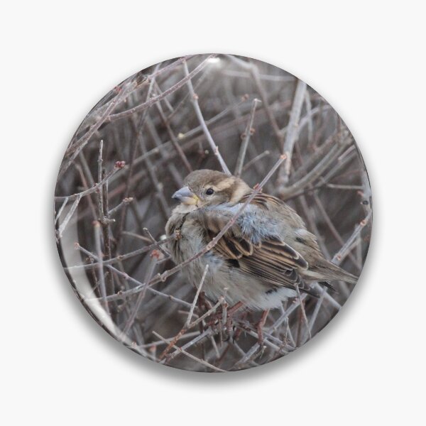 Item preview, Bird in the Bush designed and sold by Susie Kramer.