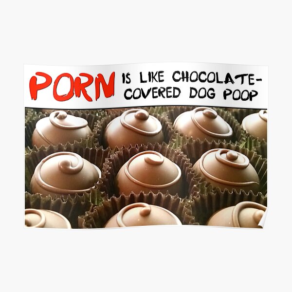 Porn is Like Chocolate-Covered Dog Poop - 3 Poster