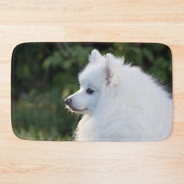 Item preview, Sitting Spitz designed and sold by KarenWoodArt.
