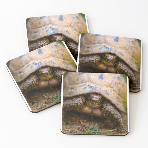 Item preview, Lily the shy turtle designed and sold by Moemadrizk.