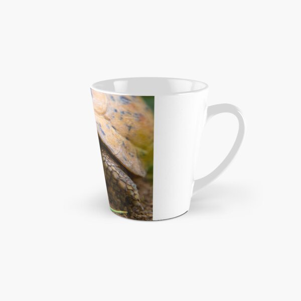 Lily the shy turtle Tall Mug