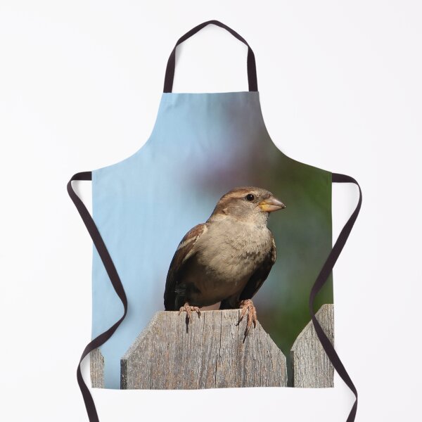 Item preview, Feathered Friend Perched on a Fence designed and sold by Susie Kramer.