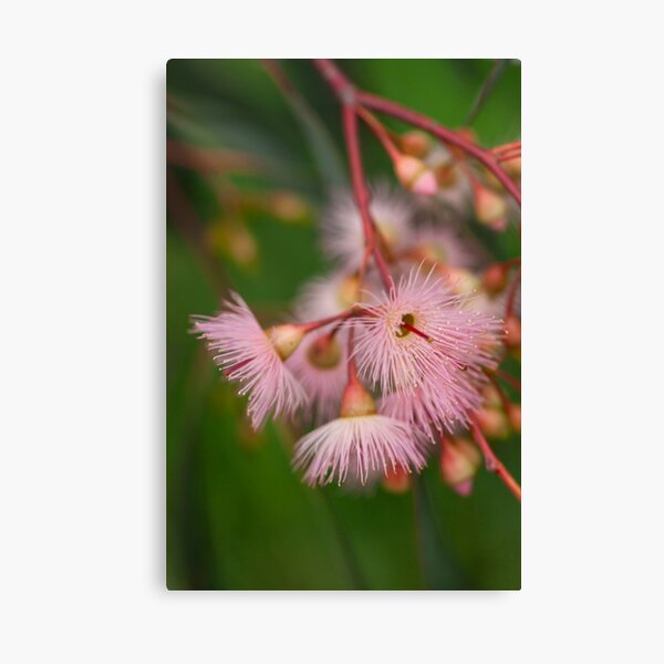 Item preview, Pink Gum Flower 3 designed and sold by Esther Frieda.