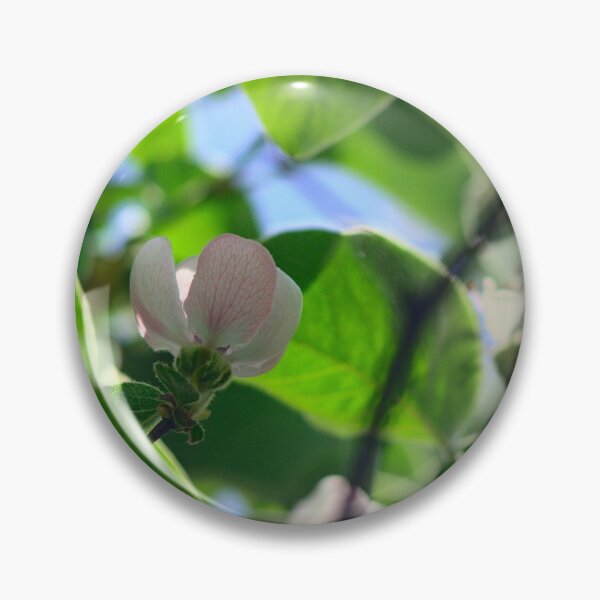 Item preview, quince flower designed and sold by Sergio Roberto Peña y Lillo Lonconao.