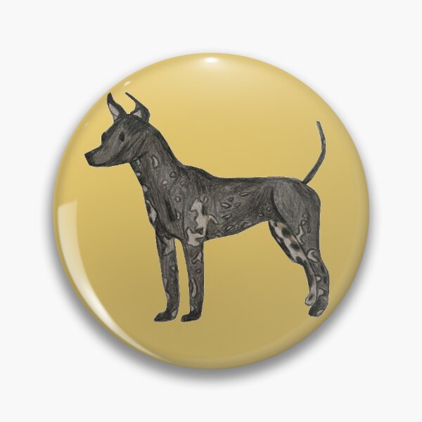 Item preview, American Hairless Terrier designed and sold by pnabbott.