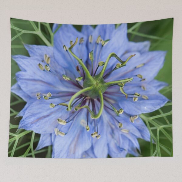 Item preview, Love in the Mist 1 designed and sold by Esther Frieda.