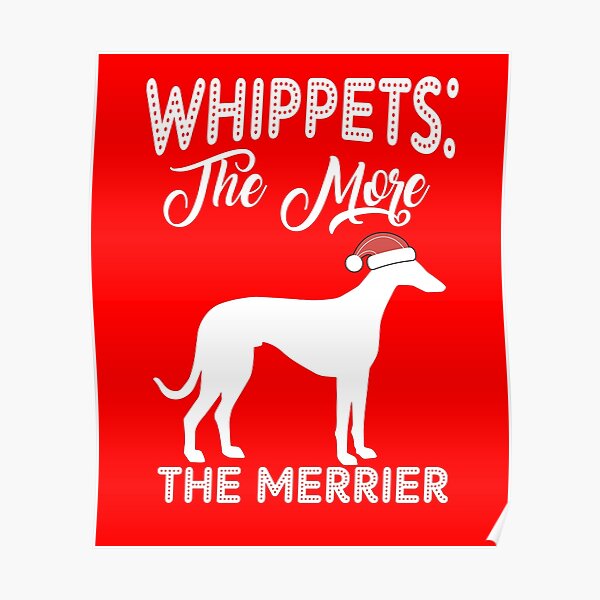 crazy runners whippets