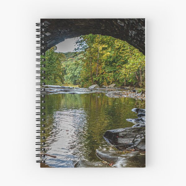 Item preview, Under the Stone Bridge designed and sold by ShootFirstNYC.