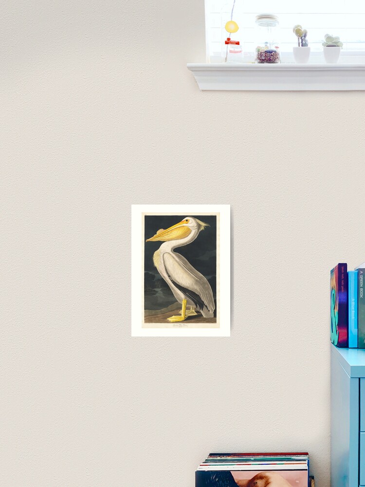 John James Audubon: White Pelican. Fine Art Mug/Cup. Ideal Gift Coffee/Tea  Mug