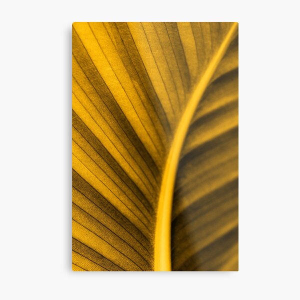 Golden Leaf Metal Print