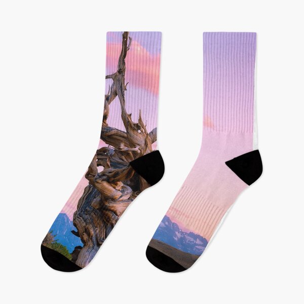 Item preview, Ancient bristlecone pine forest designed and sold by yassinehelal.