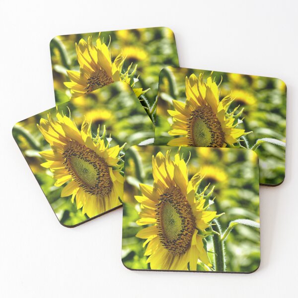 Item preview, Opened to the sun  designed and sold by LudaNayvelt.