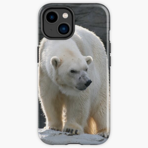 Starker Polo Bär iPhone Robuste Hülle