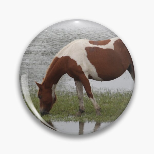 Item preview, Chincoteague Pony grazing in marsh designed and sold by WhiteCatPhoto.