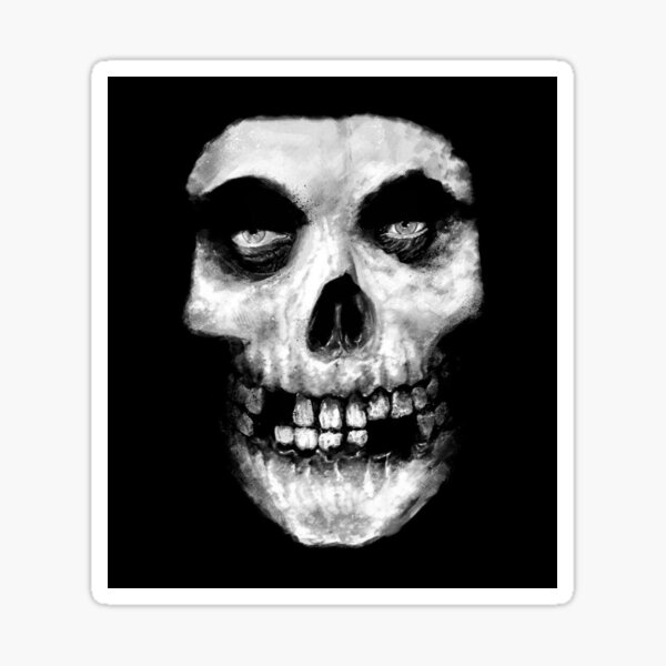 BLACK FLAG Sticker Punk Hardcore band Thrash music MINOR Misfits VINTAGE 2-4-1 