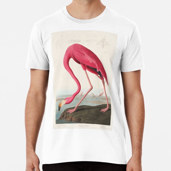 American Flamingo | Pink Flamingo | Vintage Flamingo | Audubon | Birds of America | John James Audubon | Premium T-Shirt