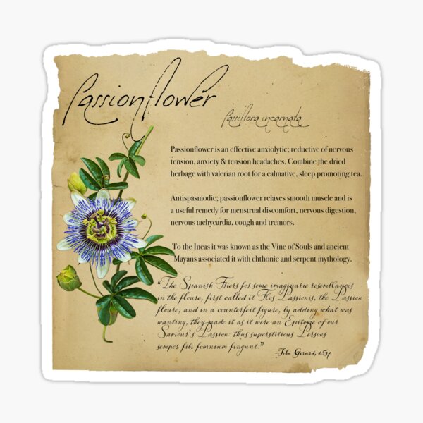 Herbal Apothecary: Passionflower Sticker