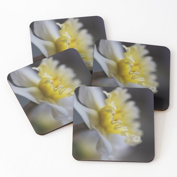 Item preview, Soft Daffodil designed and sold by Joy Watson - Natural Light Photography .