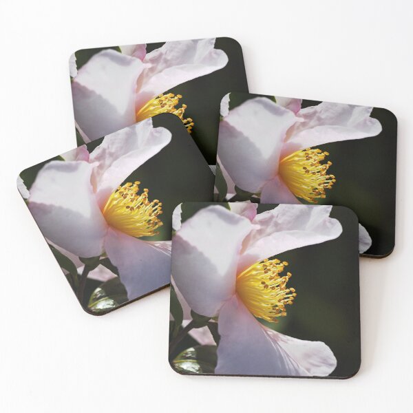 Item preview, Camellia Her Profile designed and sold by Joy Watson - Natural Light Photography .