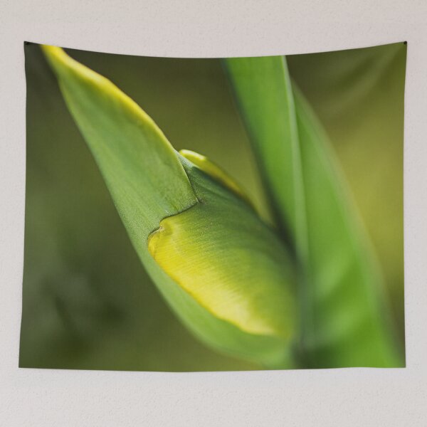 Item preview, The Yellow Tulip Bud designed and sold by Joy Watson - Natural Light Photography .