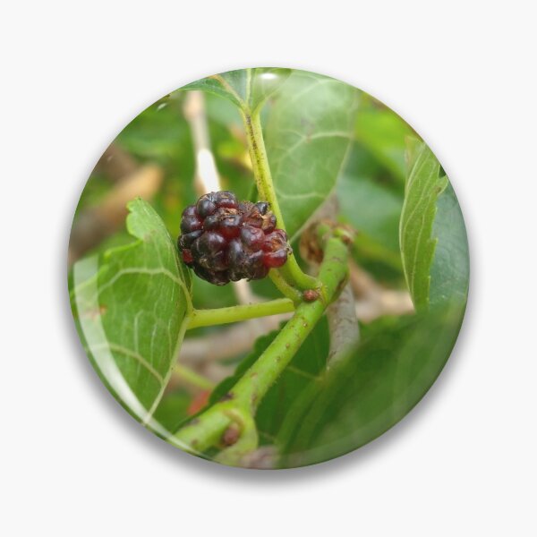 Item preview, FRUTAS DE PLANTAS MULBEERY designed and sold by vipinder.