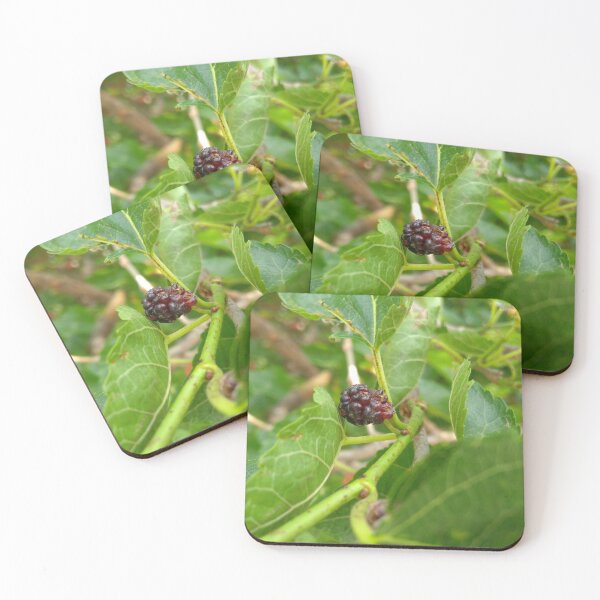 Item preview, MULBEERY PLANT FRUIT designed and sold by vipinder.