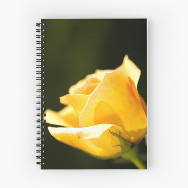 Item preview, Warm Yellow Rose designed and sold by Joy Watson - Natural Light Photography .
