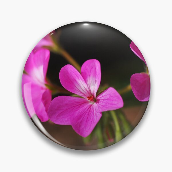 Item preview, Geranium Pink designed and sold by Joy Watson - Natural Light Photography .